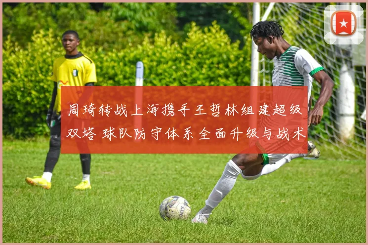 周琦转战上海携手王哲林组建超级双塔 球队防守体系全面升级与战术重构深度剖析